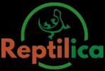 Reptilica Logo