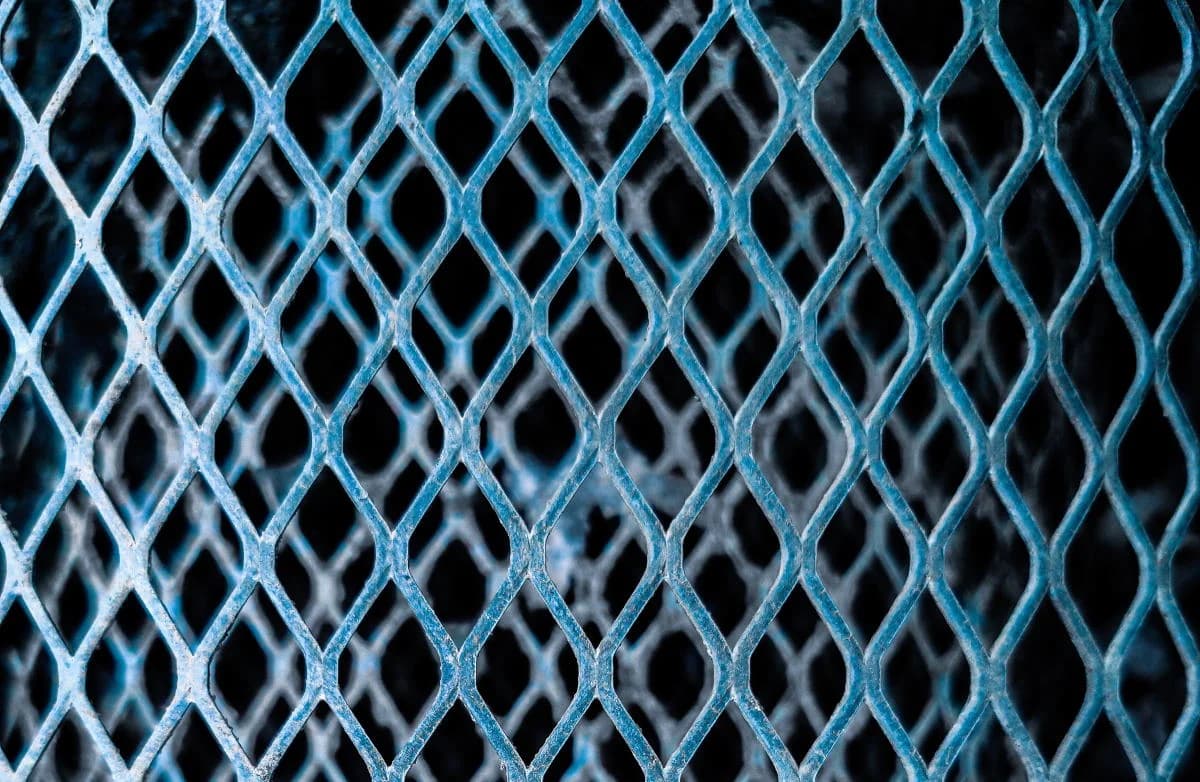 Freiluftterrarien - ideal für heimische Reptilien