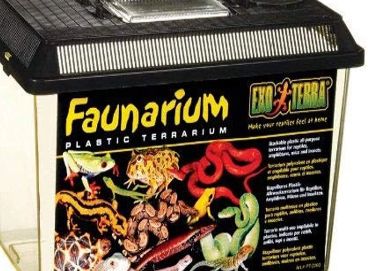 Plastikterrarium (Faunarium) - ideal für den Transport