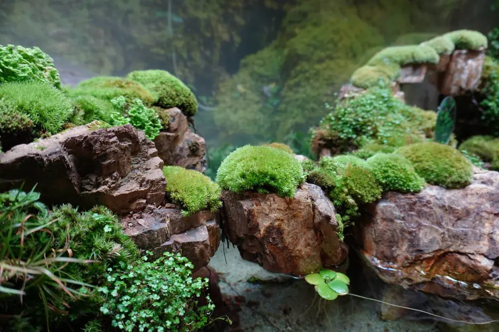Terrarium selber bauen in 8 Schritten