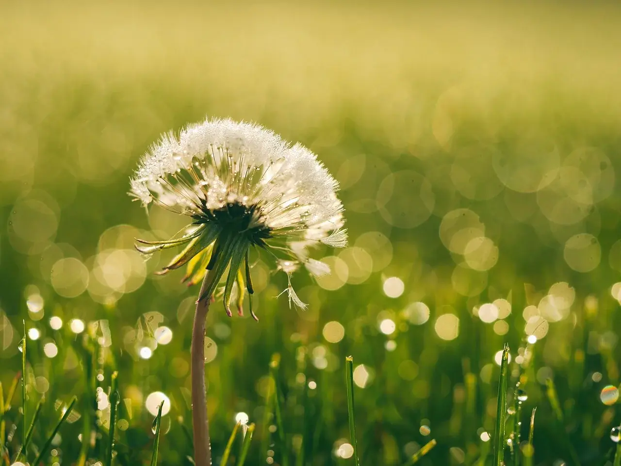 Photo by Pexels