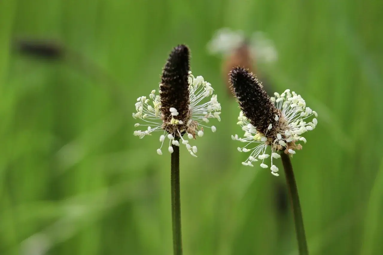 Photo by Nennieinszweidrei