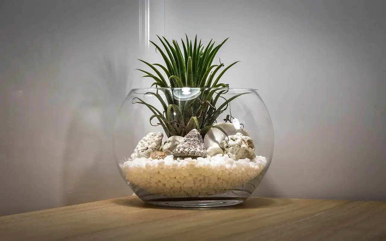 Zimmerterrarium - variables Indoorterrarium