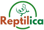 Reptilica Logo