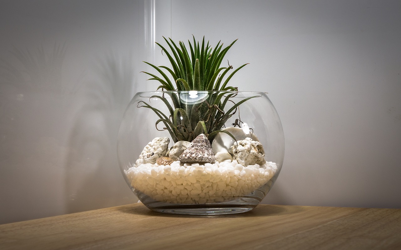 Zimmerterrarium